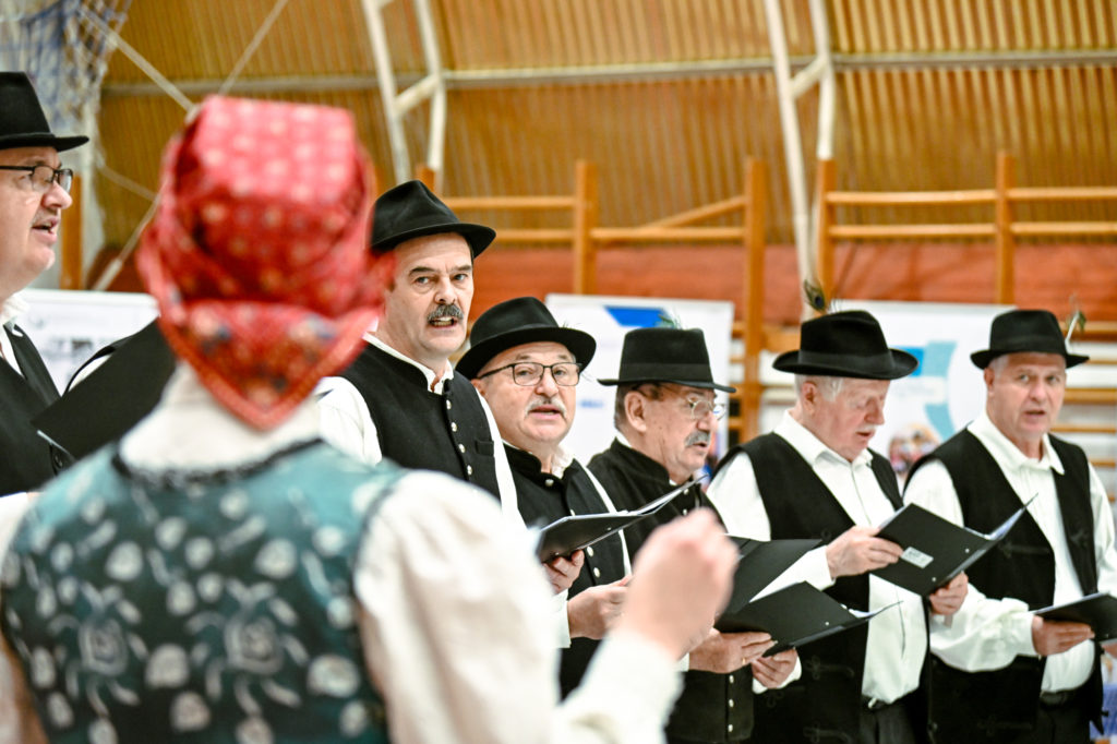 Értékek ünnepe és farsangi hangulat Vértesszőlősön