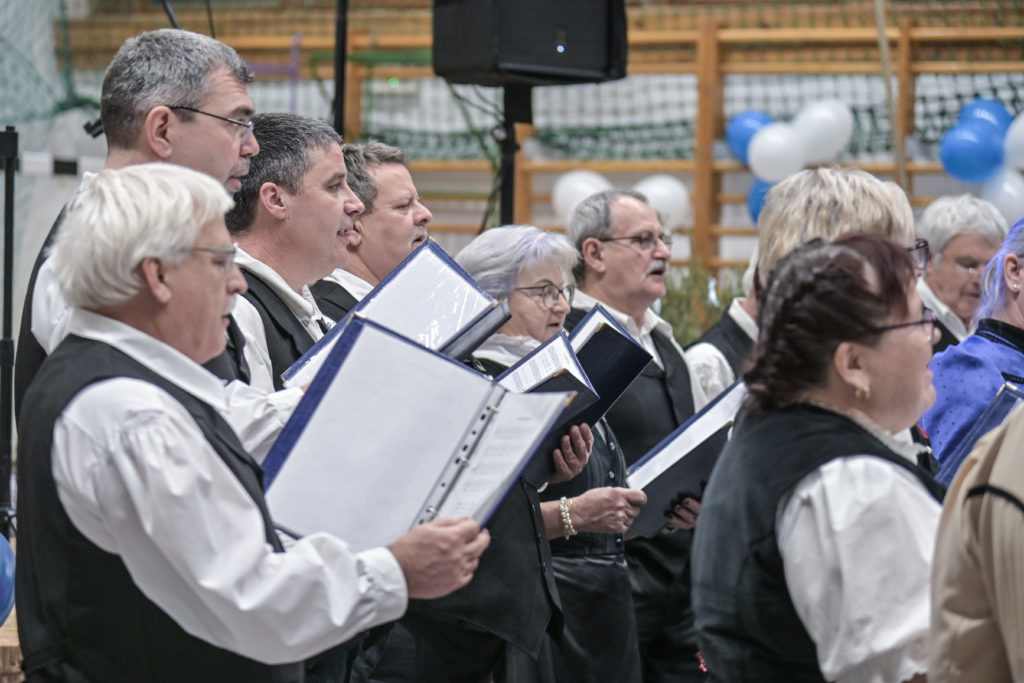 Közösségi értékek és nemzetiségi hagyományok Bajon