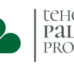 Felhívás amatőr művészeti közösségek és alkotók számára – TehetségPaletta Program 2026